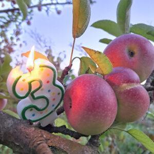 Drei Äpfel am Baum, eine brennende Kerze in Form der Zahl 3