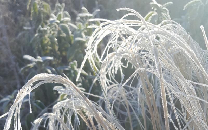 Die Deadline des Lebens: Wie Endlichkeit uns antreibt
